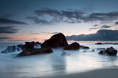 ormanda Cove, laguna beach, california kaya oluşumu