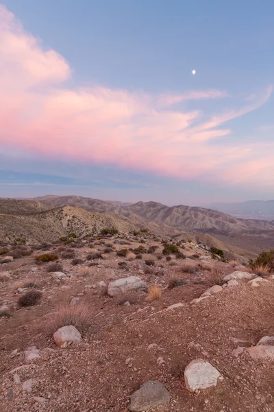 Moon and pink clouds over desert Royalty Free Stock Photos