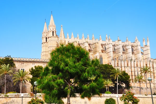 Cathedral of Palma de Majorca — Stock Photo, Image