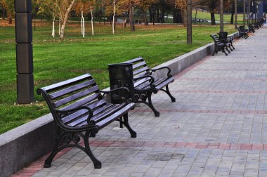 kahverengi banklar parkta kimse ile