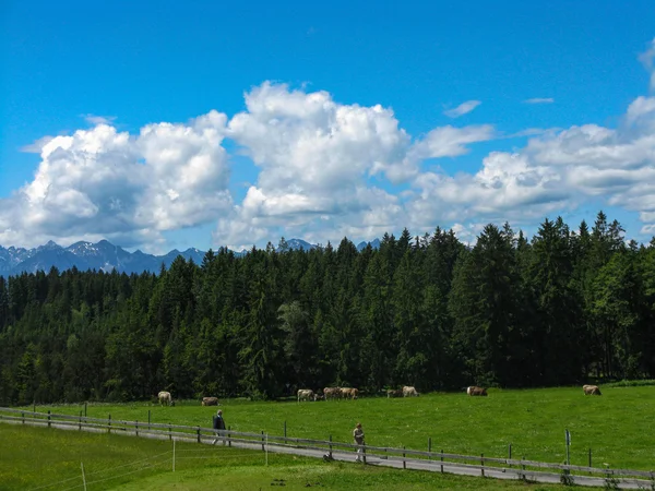 Bayern-Landschaft — Stockfoto