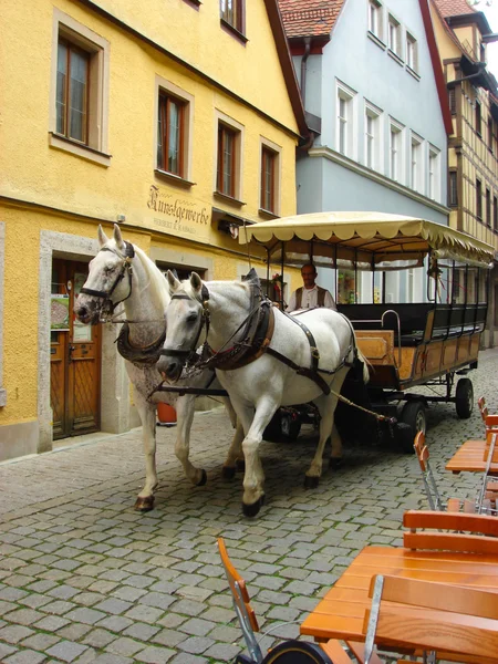 Two horses and coach — Stock Photo, Image
