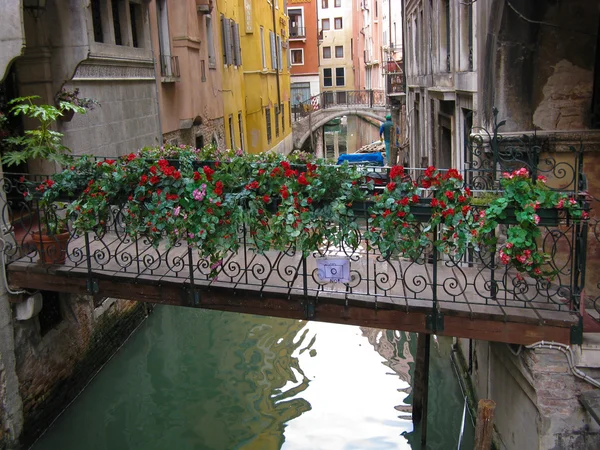 Venezianische Brücke Stockbild
