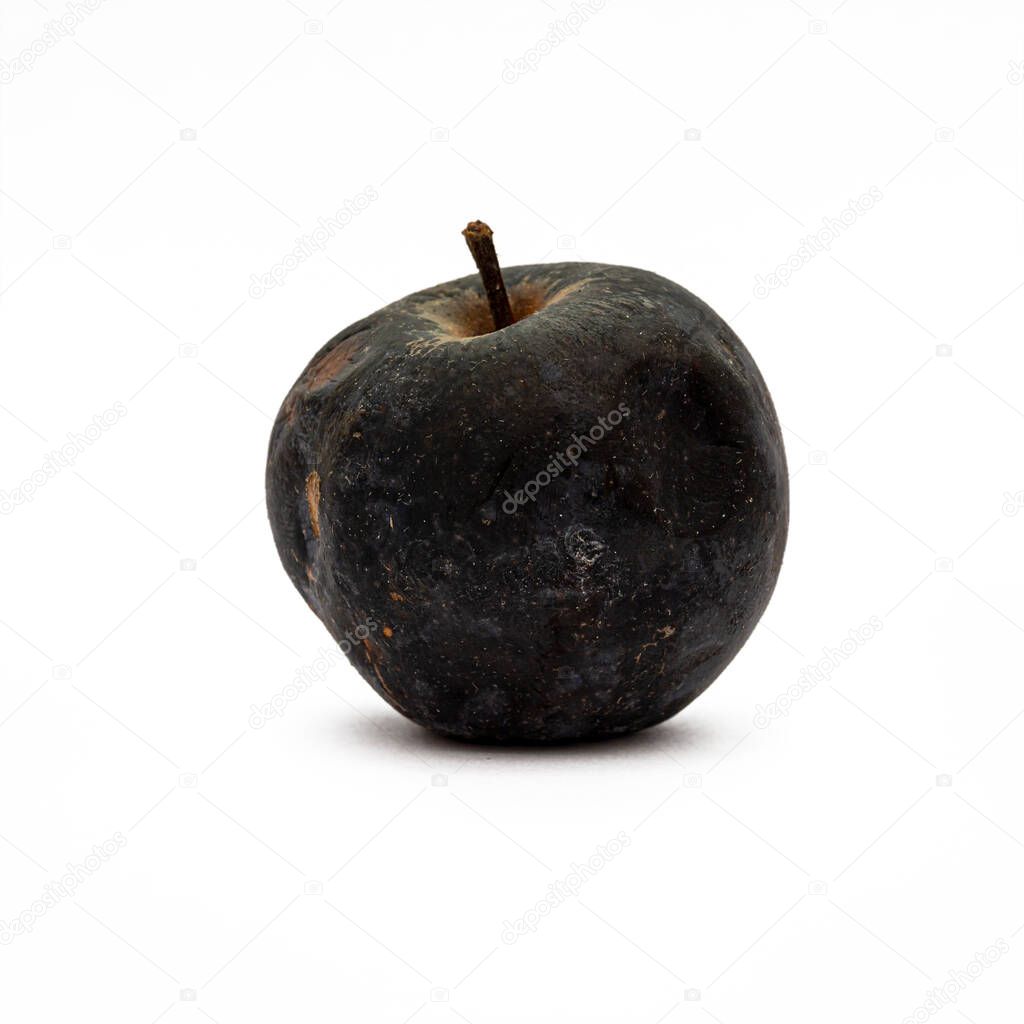 Blackened rotten apple isolated on white background. Object for design and project.