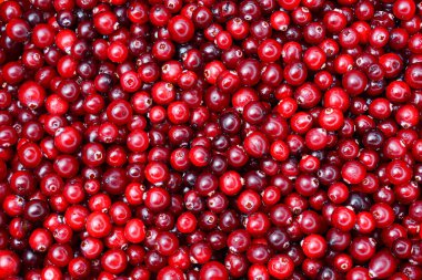 Kızılcık. Kızılcık arka plan. Kızılcık suyu. Gıda arka plan.