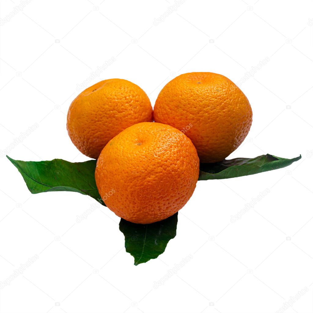 Orange fruits hangging with branch and green leaves isolated on white background. clipping path.