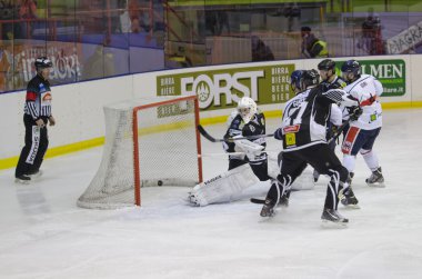 Puck net
