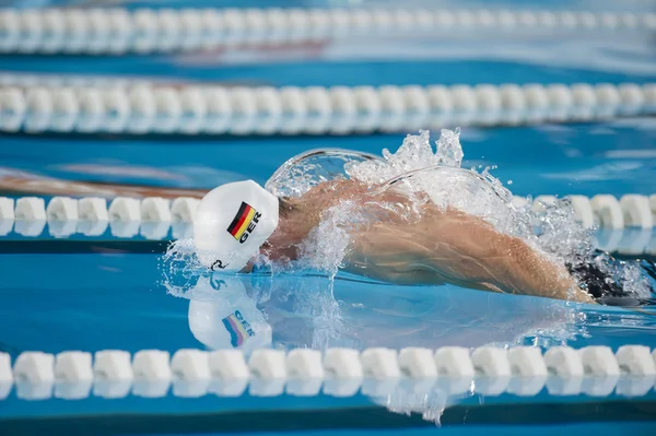 Benjamin starke simma fjäril — Stockfoto