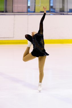 Artistik Patinaj 2012 İtalyan Şampiyonası