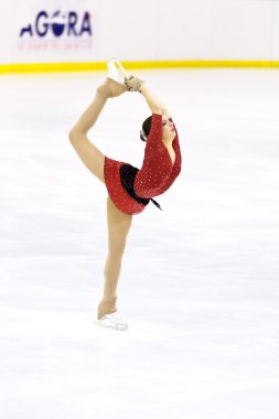 Artistik Patinaj 2012 İtalyan Şampiyonası