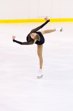 Artistik Patinaj 2012 İtalyan Şampiyonası