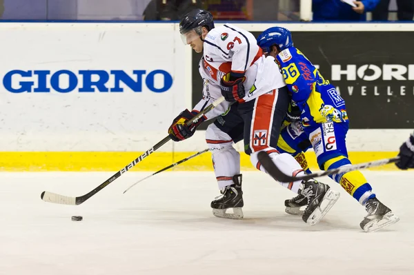 Hockey sobre hielo —  Fotos de Stock