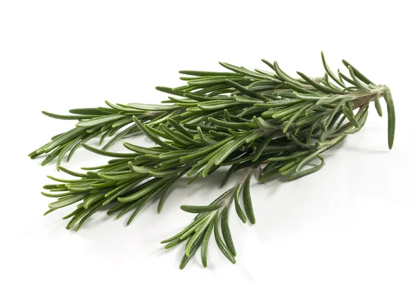 Rosemary — Stock Photo, Image