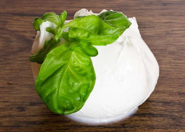 Verse rauwe mozzarella — Stockfoto