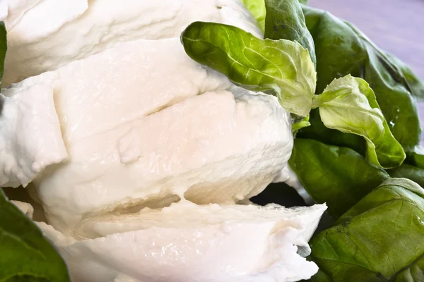 Fresh raw mozzarella — Stock Photo, Image