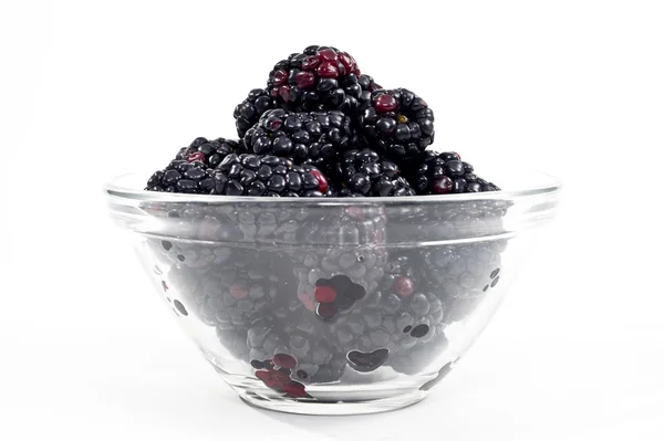 Blackberries — Stock Photo, Image