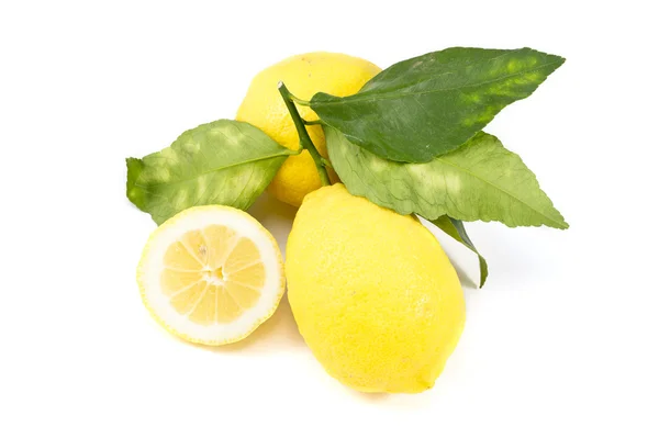 Biologické citron — Stock fotografie