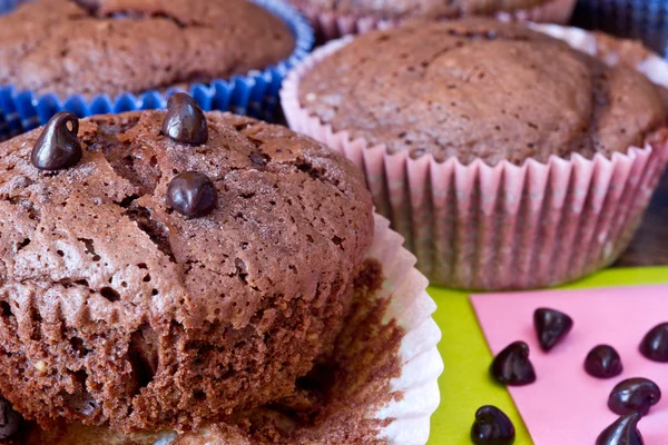 Chocolat miffins med chocolat droppar — Stockfoto