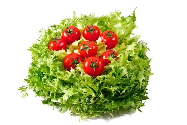 Färsk sallat sallad med färska tomater — Stockfoto