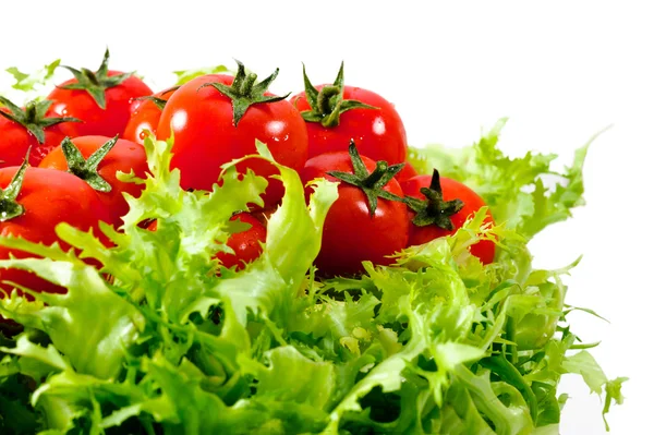 Fresh lettuces salad with fresh tomatoes — Stock Photo, Image