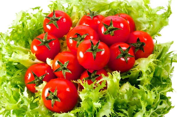 Fresh lettuces salad with fresh tomatoes — Stock Photo, Image