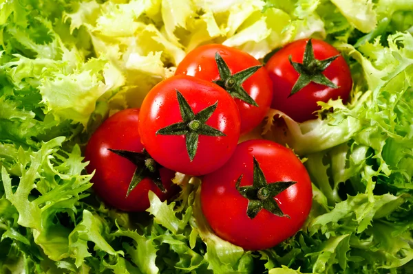 Salade de laitues fraîches aux tomates fraîches — Photo