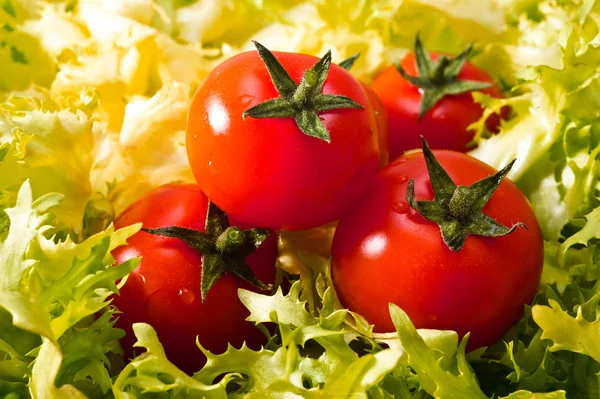 Salade de laitues fraîches aux tomates fraîches — Photo
