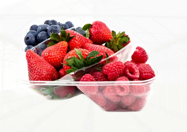 Paquet de marché de fraises avec un fond de serre — Photo