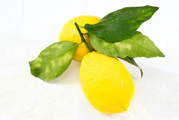 Sera içinde limon — Stok fotoğraf