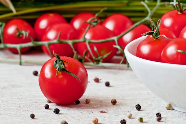 Pomodori ciliegia — Foto Stock