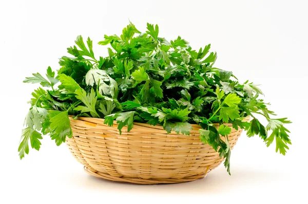 Parsley isolated on a white background — Stock Photo, Image