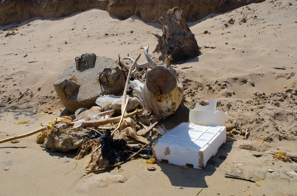 Rifiuti si accumula sulla spiaggia — Foto Stock