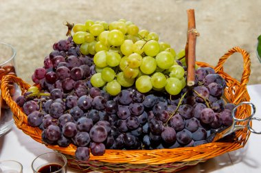 karışık renkli üzüm