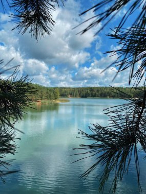 Ukrayna 'daki sonbahar ormanlarında mavi göl ve çam ağacı