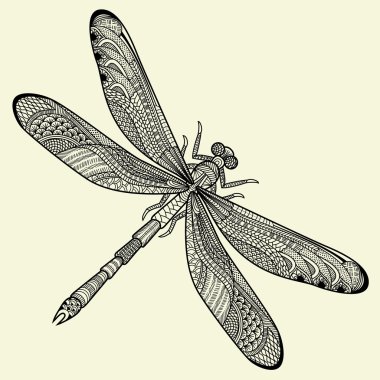 Dragonfly clipart