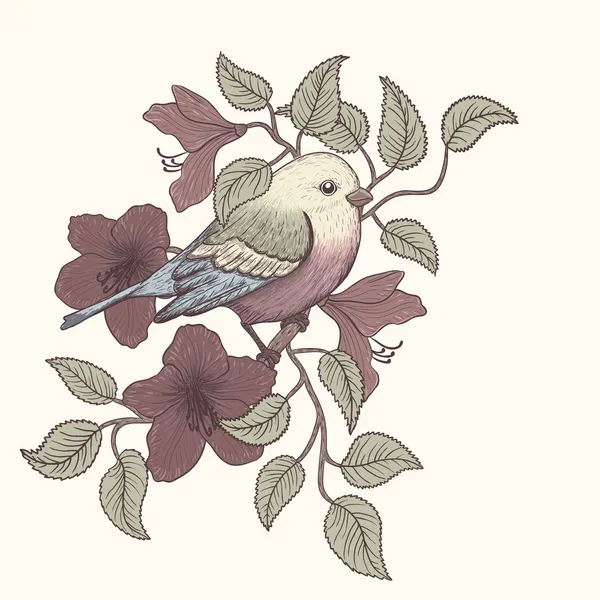 Διανυσματικά εικονογράφηση του ένα πολύχρωμο πουλί και ανθισμένα καλοκαίρι λουλούδια — Διανυσματικό Αρχείο