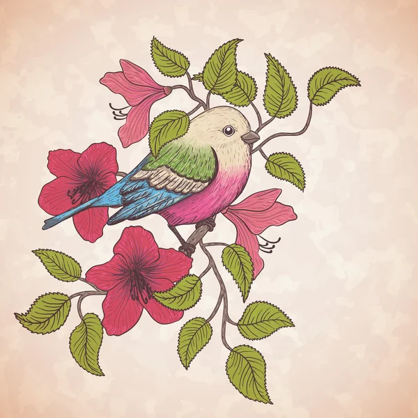 Vector illustratie van een kleurrijke vogel en bloeiende zomer bloemen — Stockvector