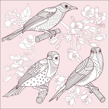 Kuşlar ve çiçekler