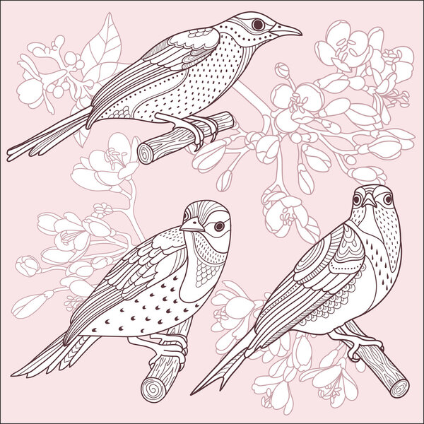 Birds and flowers