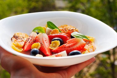 Meyve salatası ve mısır gevreği tabağı.