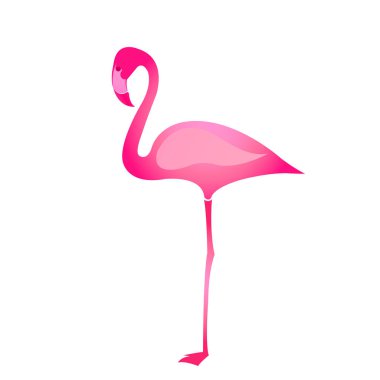 pembe flamingo üzerinde beyaz izole