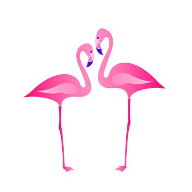 Pembe flamingo beyaz arkaplanda izole edildi