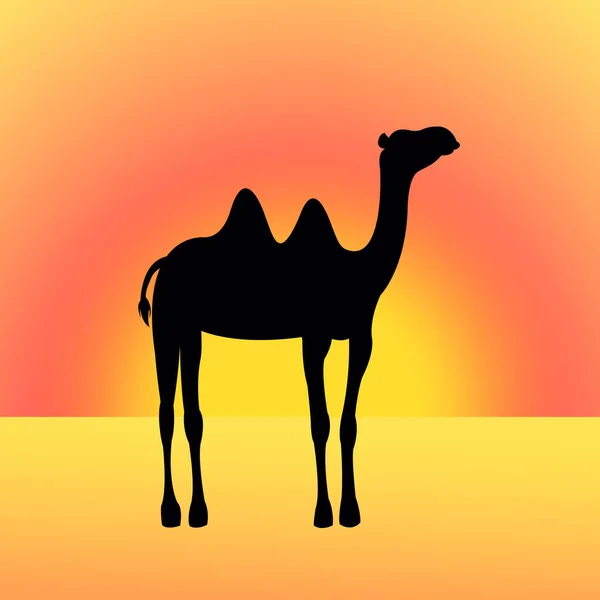 Camel Desert Sunset — Stock Vector