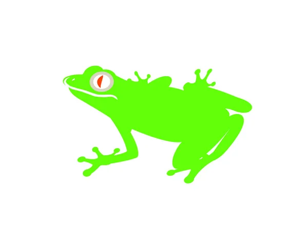 Logo Rana Verde Sfondo Bianco — Vettoriale Stock