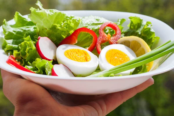 白碗中新鲜蔬菜和鸡蛋沙拉 — 图库照片