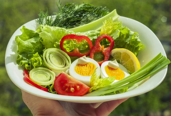 Ensalada Verduras Frescas Huevo Tazón Blanco —  Fotos de Stock