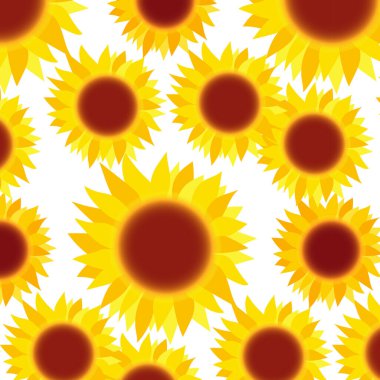 Renkli sarı ayçiçeği deseni