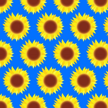 Renkli sarı ayçiçeği deseni