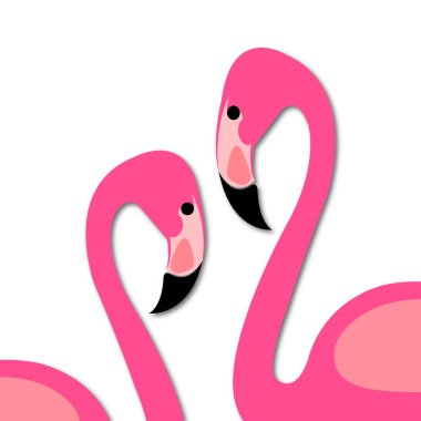 Pembe flamingo beyaz arkaplanda izole edildi