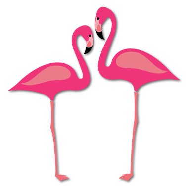 Pembe flamingo beyaz arkaplanda izole edildi